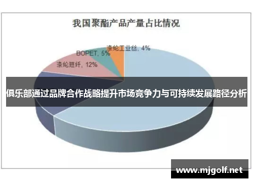 俱乐部通过品牌合作战略提升市场竞争力与可持续发展路径分析