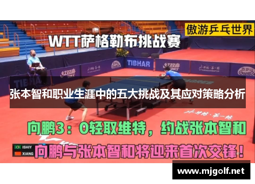 张本智和职业生涯中的五大挑战及其应对策略分析
