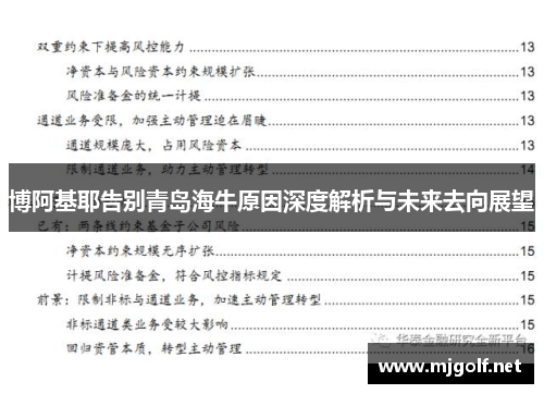 博阿基耶告别青岛海牛原因深度解析与未来去向展望
