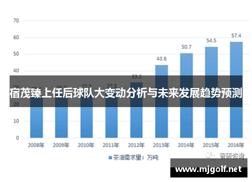 宿茂臻上任后球队大变动分析与未来发展趋势预测