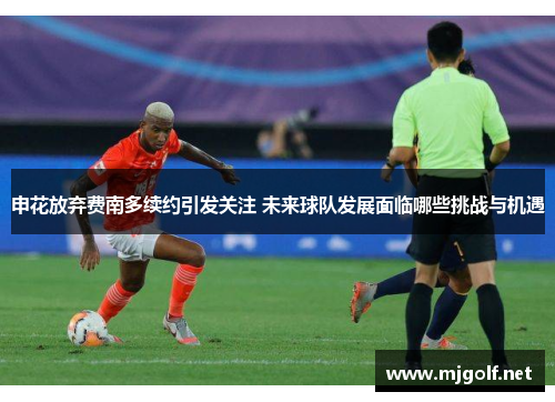 申花放弃费南多续约引发关注 未来球队发展面临哪些挑战与机遇