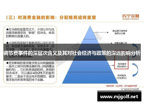 调节费事件的深层次含义及其对社会经济与政策的深远影响分析