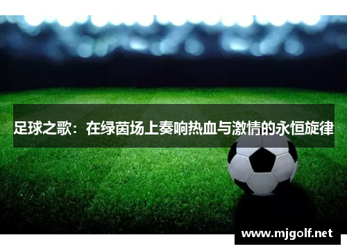 足球之歌：在绿茵场上奏响热血与激情的永恒旋律