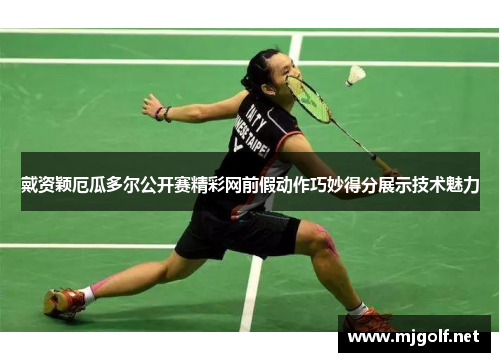 戴资颖厄瓜多尔公开赛精彩网前假动作巧妙得分展示技术魅力