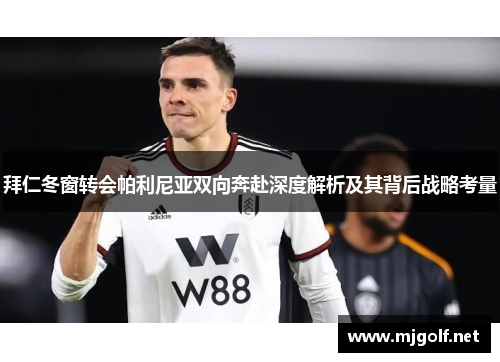 拜仁冬窗转会帕利尼亚双向奔赴深度解析及其背后战略考量 拜仁冬窗转会帕利尼亚双向奔赴深度解析及其背后战略考量
