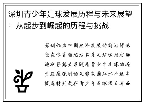 深圳青少年足球发展历程与未来展望：从起步到崛起的历程与挑战